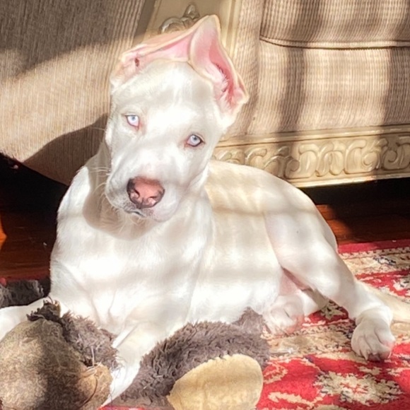 Thank you for shopping with me! Offers welcome! - Picture 8 of 16